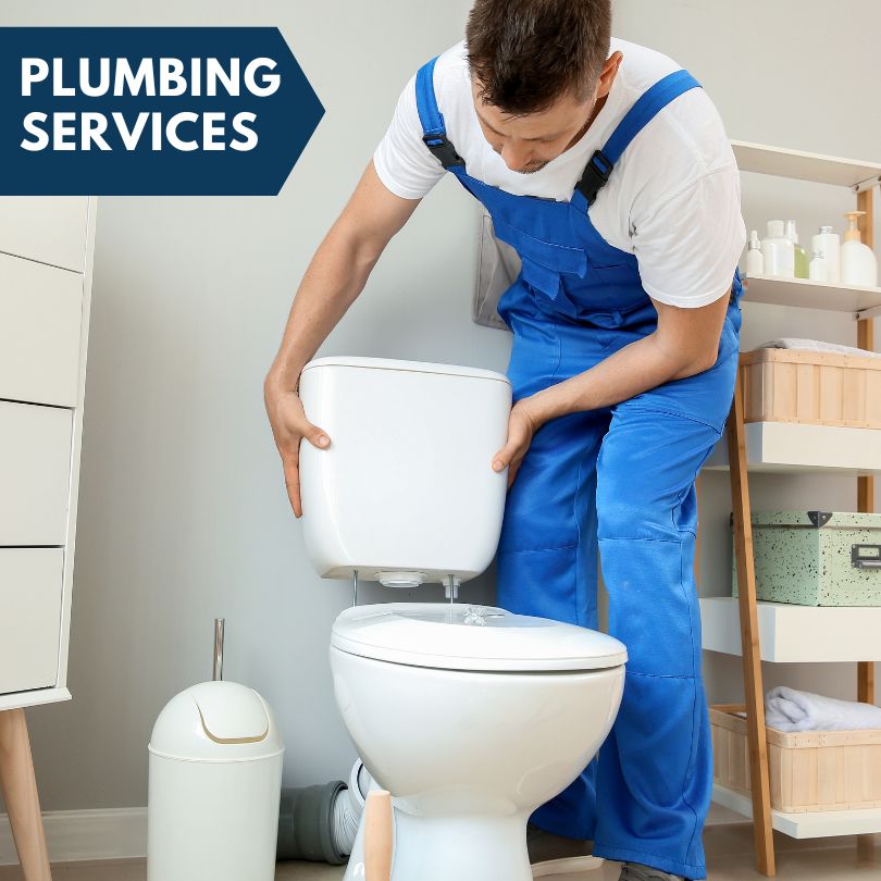 Plumbing Company in Pierron, IL